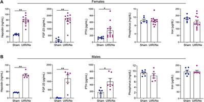 A Reproducible Mouse Model of Moderate CKD With Early Manifestations of Osteoblastic Transition of Cardiovascular System